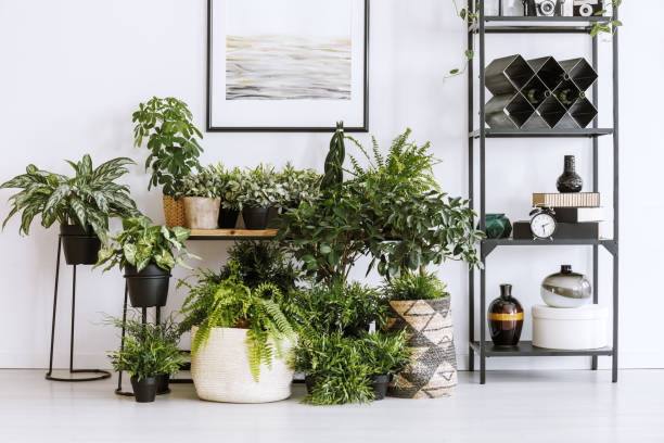 indoor gardening guide