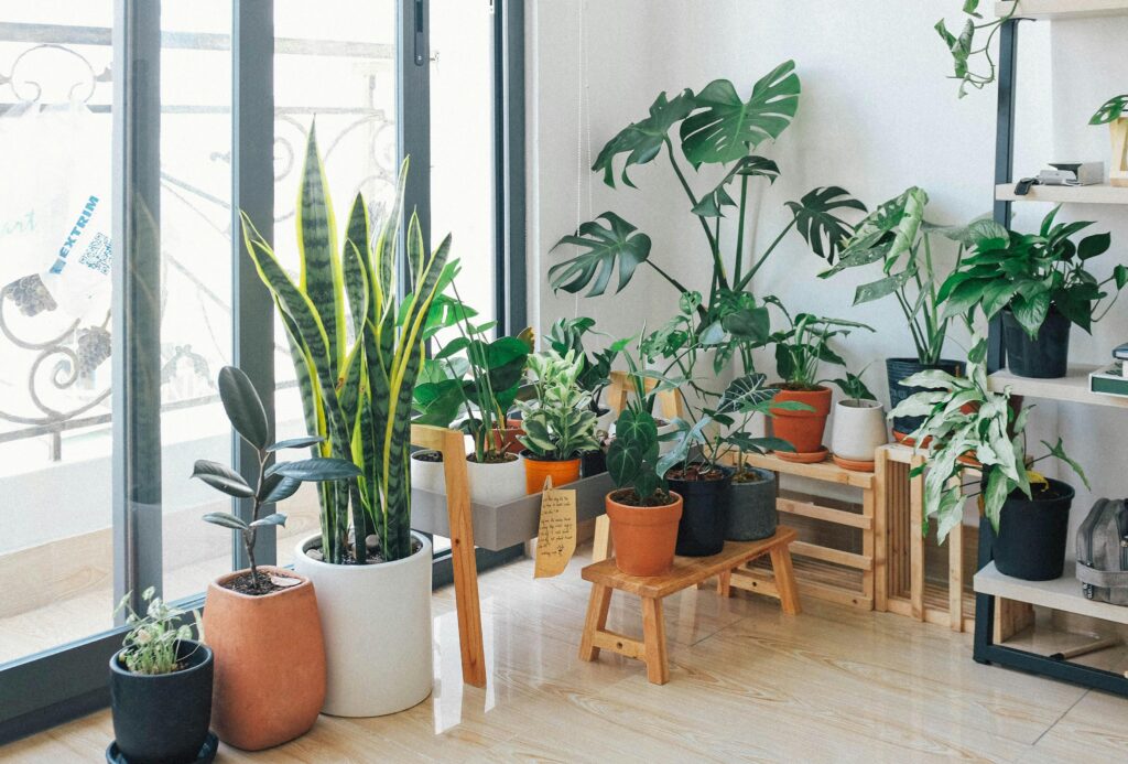 Effective indoor gardening guide for beginners