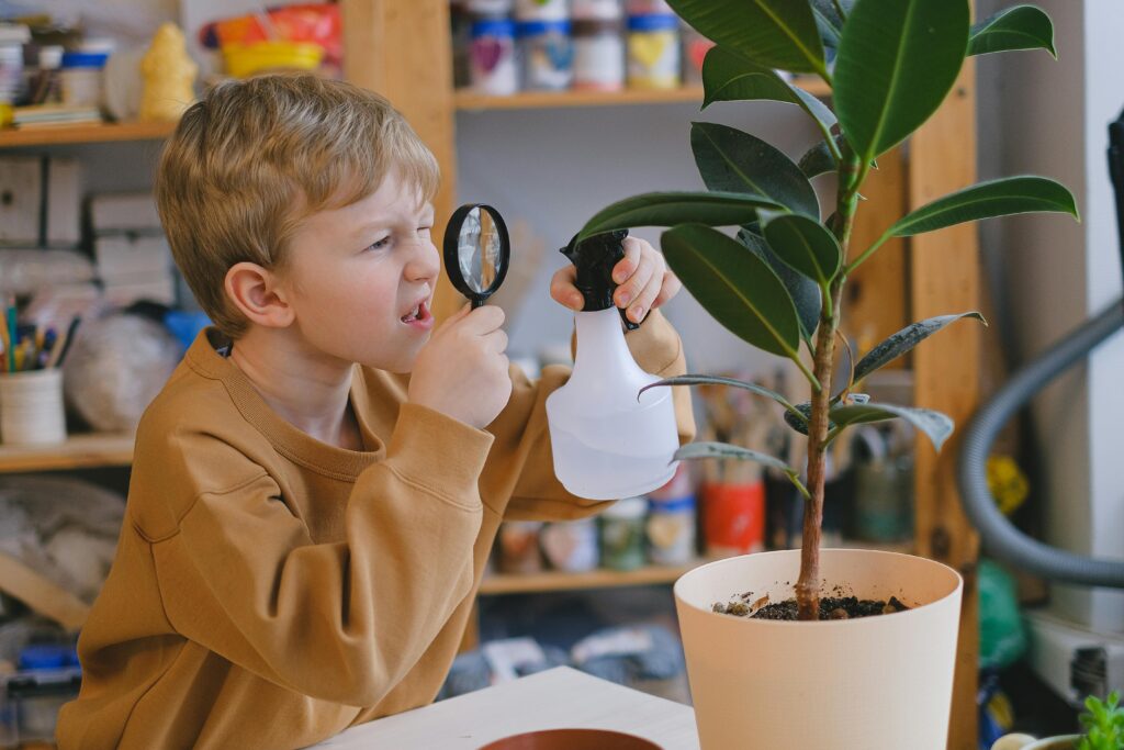 Best practices for watering to ensure indoor plants life