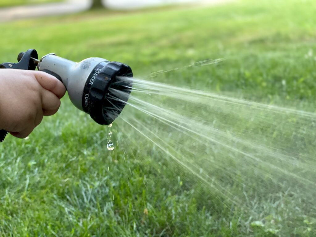 watering to plants